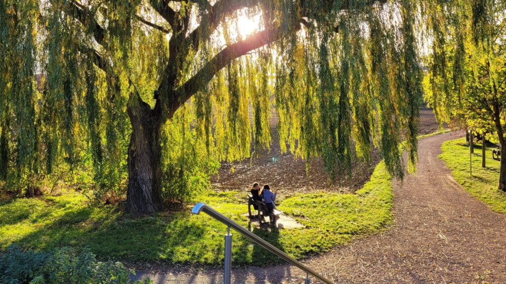 Trauer 5 SimoneBild Zugeschnitten scaled 1