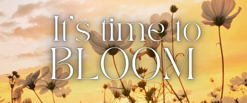 Time to Bloom e1750341707867