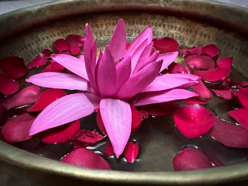 Bachblueten Workshop