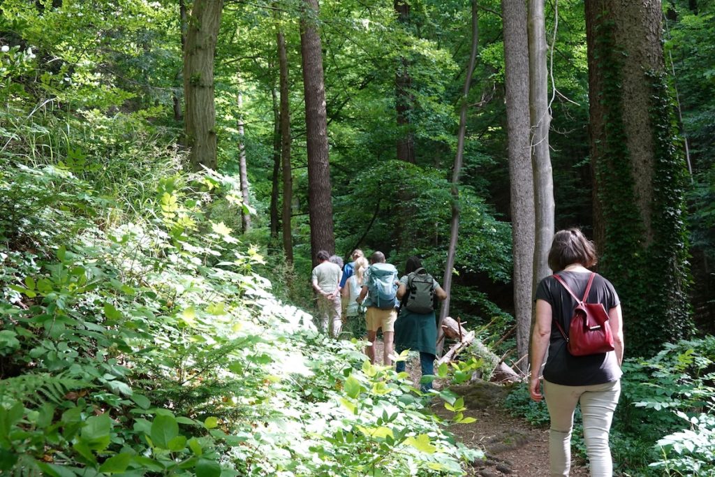 Freiburg: Dialog im Wald 1 DSC01583