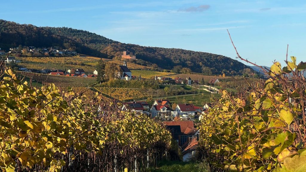 Regionalgruppe Südpfalz - Kennenlernen Treffen 4 Suedpfalz