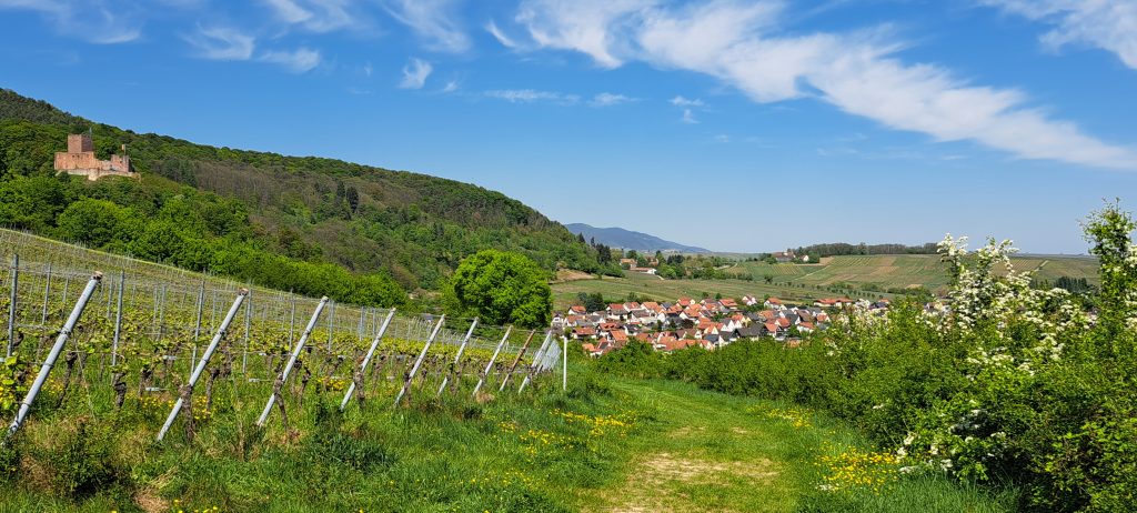 Regionalgruppe Suedpfalz